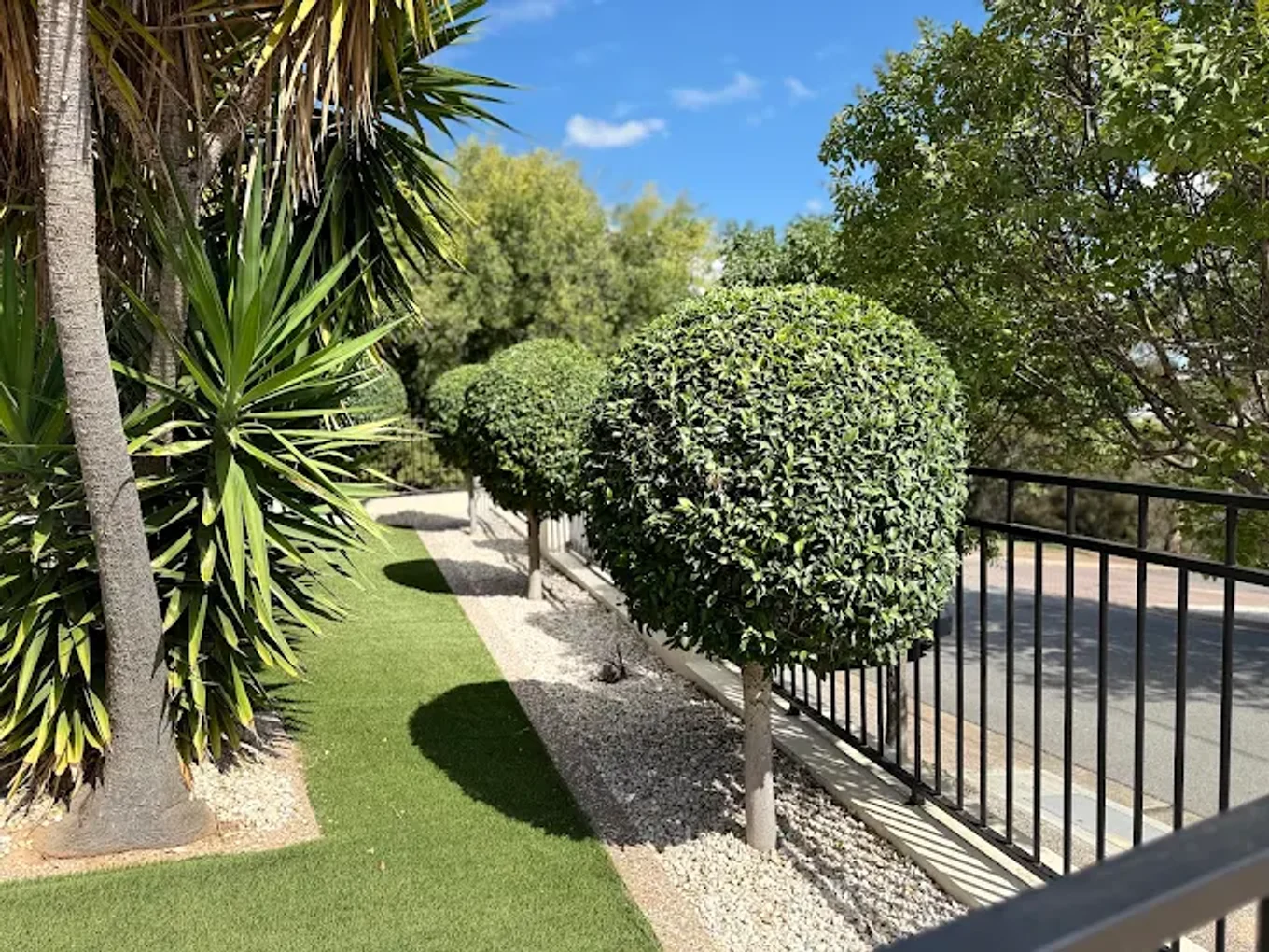 Neatly clipped topiary hedges and a crisp lawn edge after Jub's has tidied the garden bed