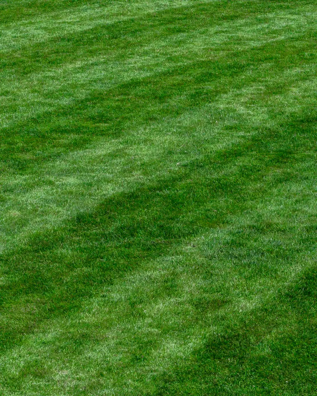 A freshly mown lawn with clean, even mowing stripes